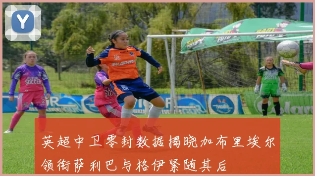 英超中卫零封数据揭晓加布里埃尔领衔萨利巴与格伊紧随其后